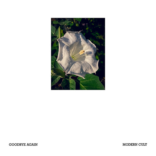 Goodbye Again (feat. Twanner)
