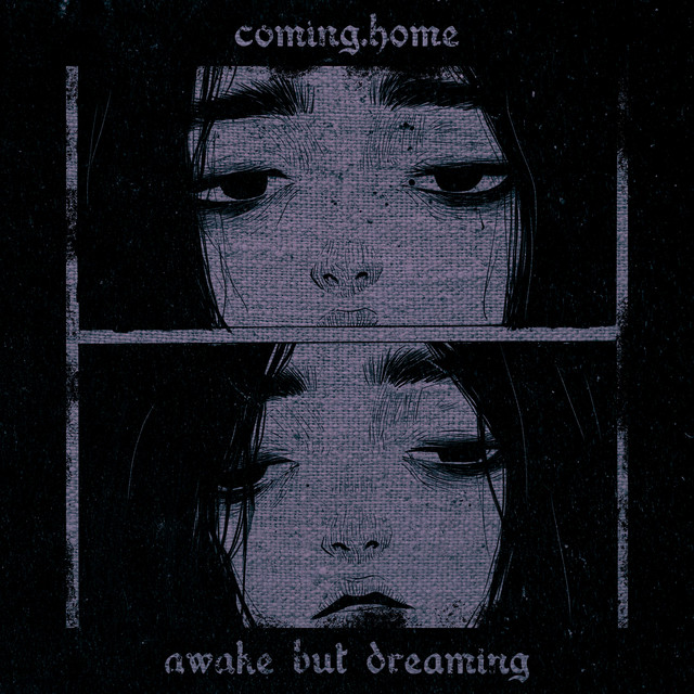 awake but dreaming