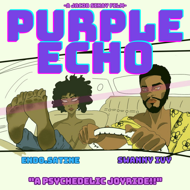 Purple Echo cover art