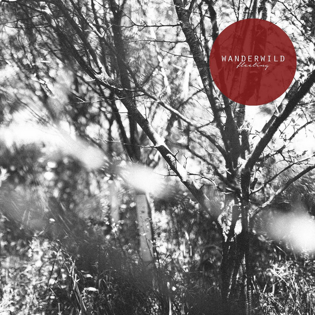 Fleeting cover art