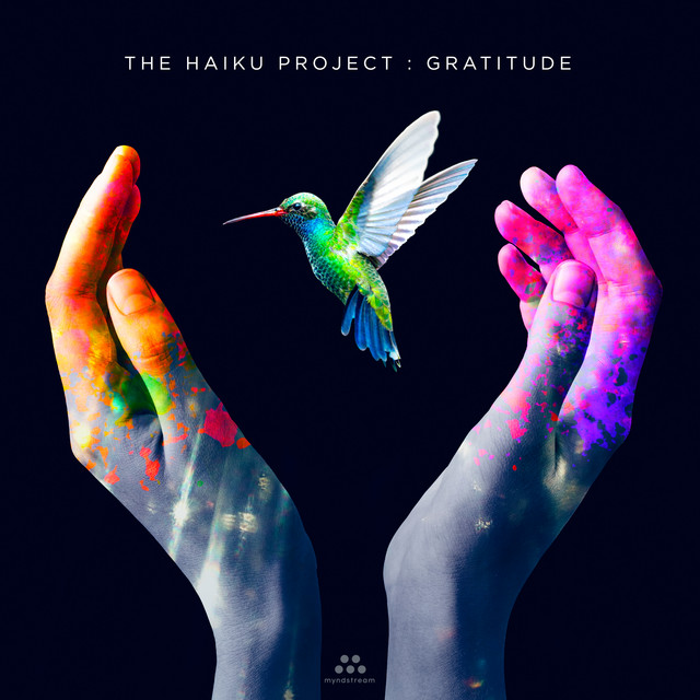Gratitude cover art
