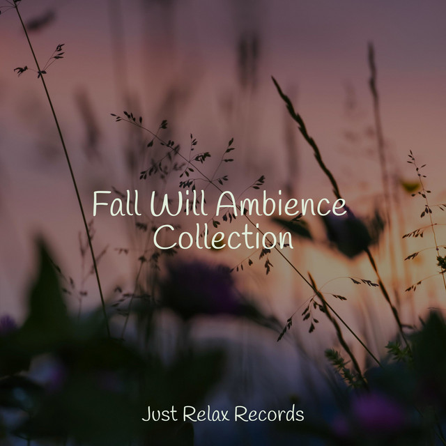 Fall Will Ambience Collection - Album by Bird Sounds | Spotify