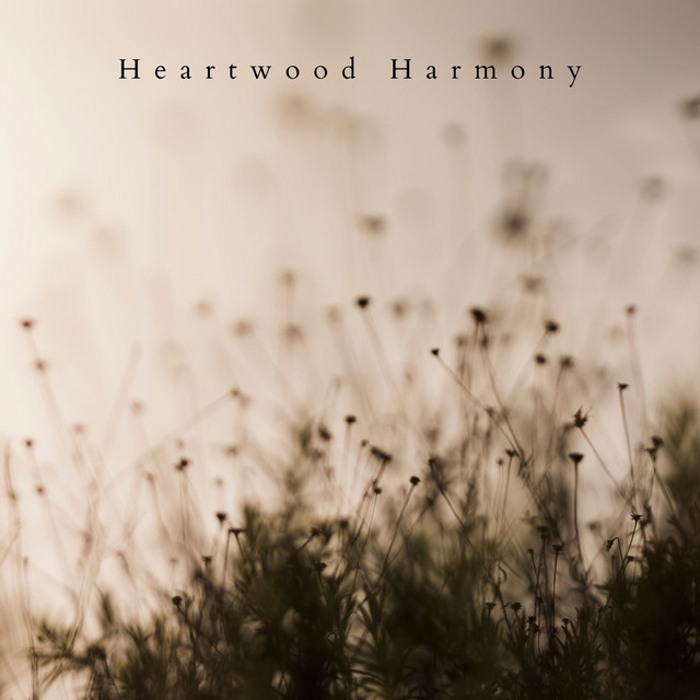 Heartwood Harmony: A Centered Calm