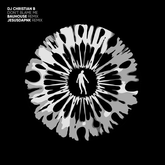 Don't Blame Me - Bauhouse Remix