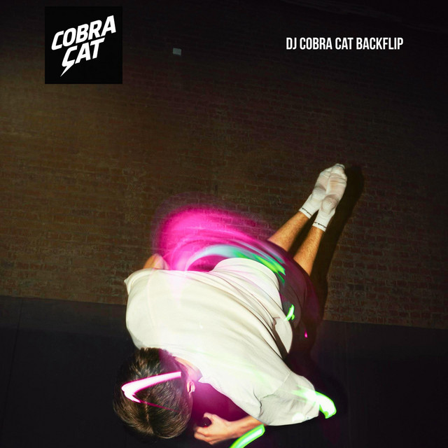 Backflip (Radio Edit)