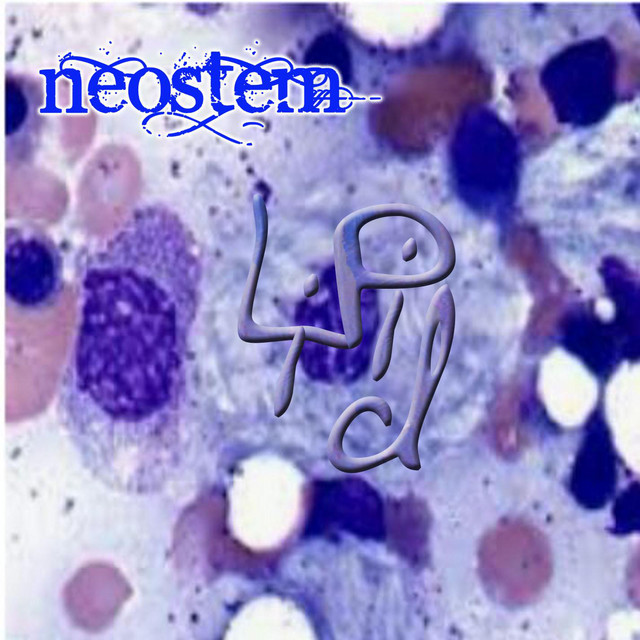 LiPiD cover