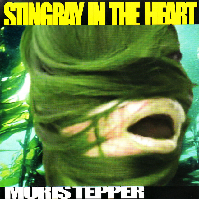 Stingray in the Heart cover