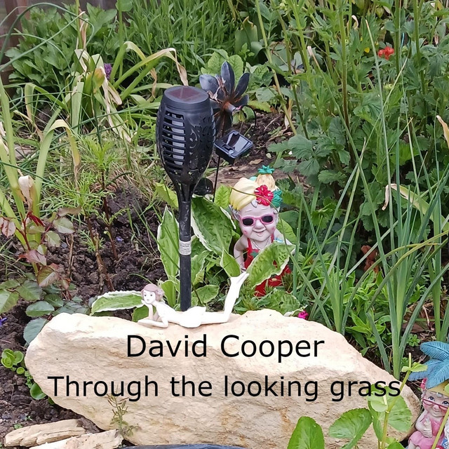 Through the Looking Grass