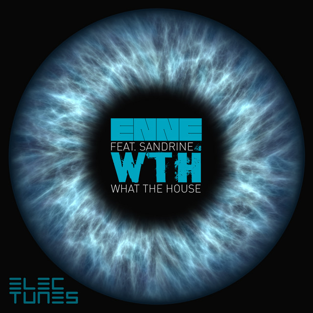W.T.H. (What the House) (feat. Sandrine) cover art