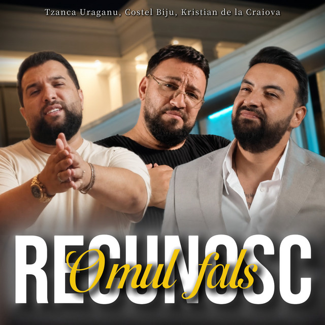 Recunosc omul fals album image