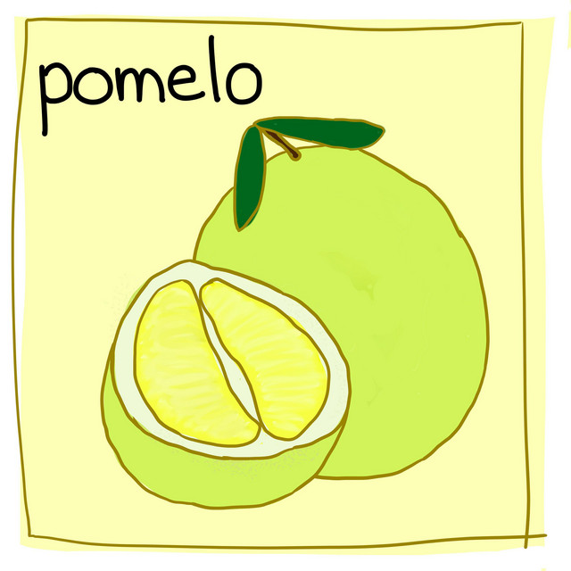 Pomelo cover art