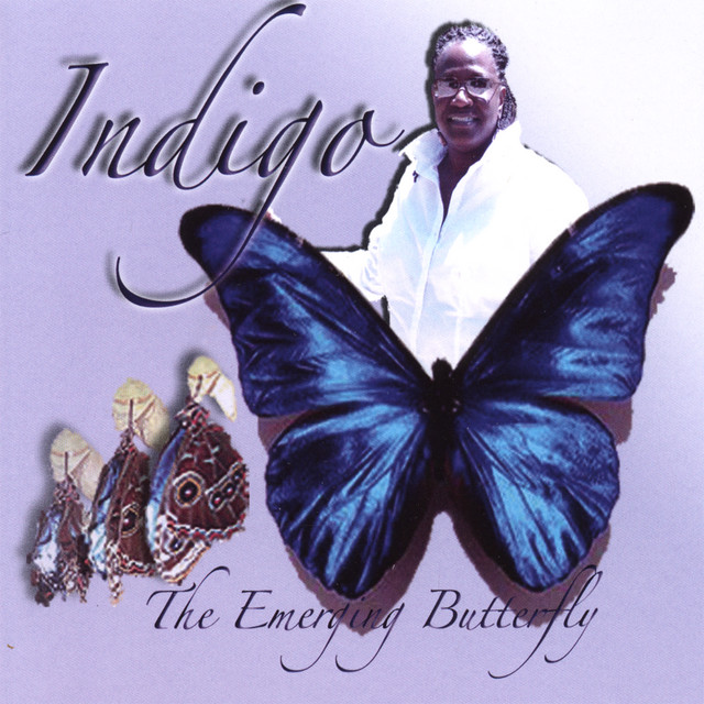 The Emerging Butterfly cover art