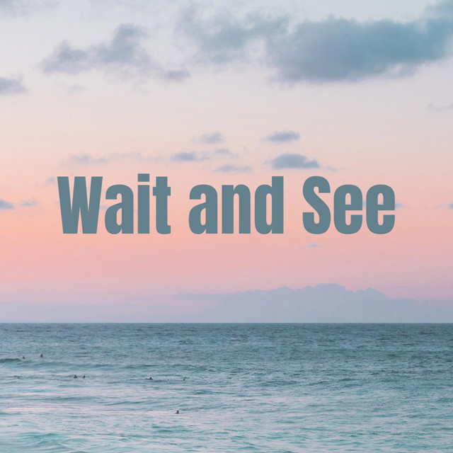 Wait and See