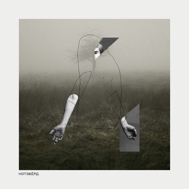 Нотэбёрд cover art