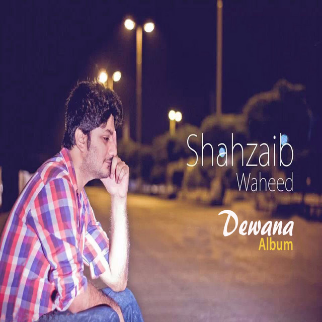 Shahzaib Waheed | Spotify