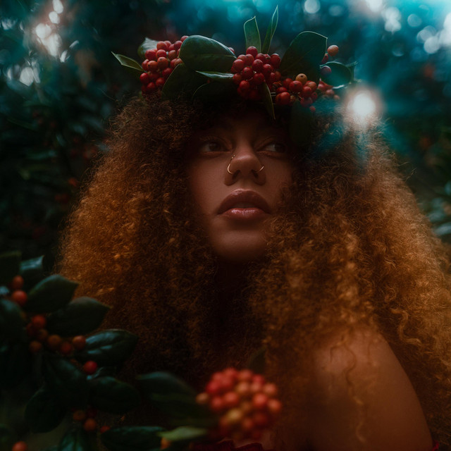 Solstice cover art