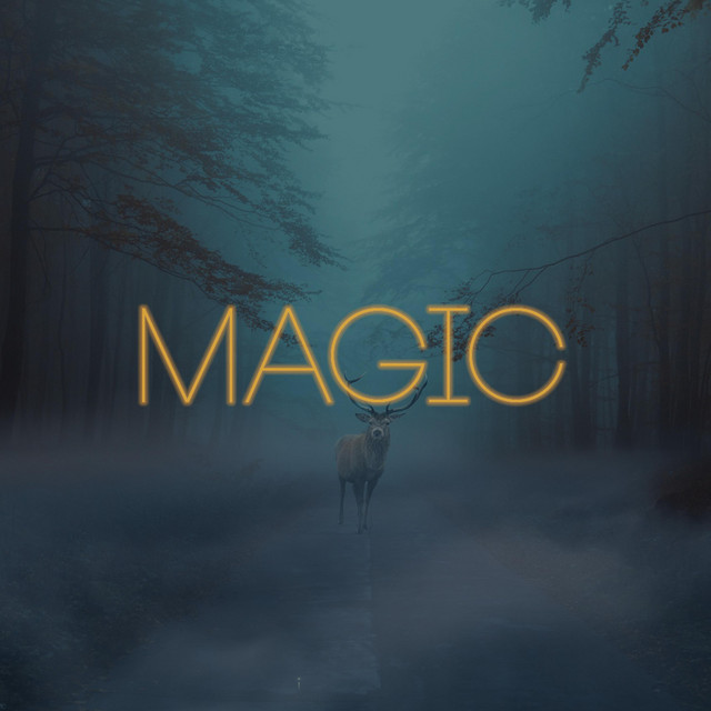Magic cover art