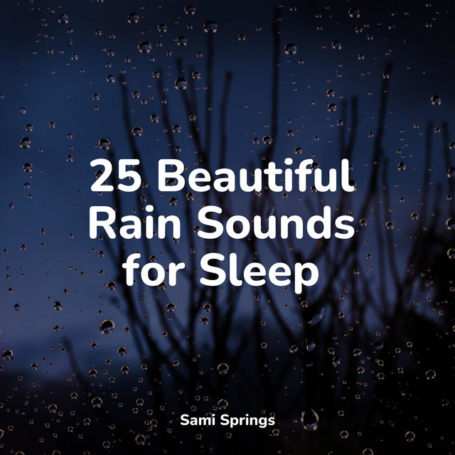 25 Beautiful Rain Sounds for Sleep - Album by Ambient Forest | Spotify