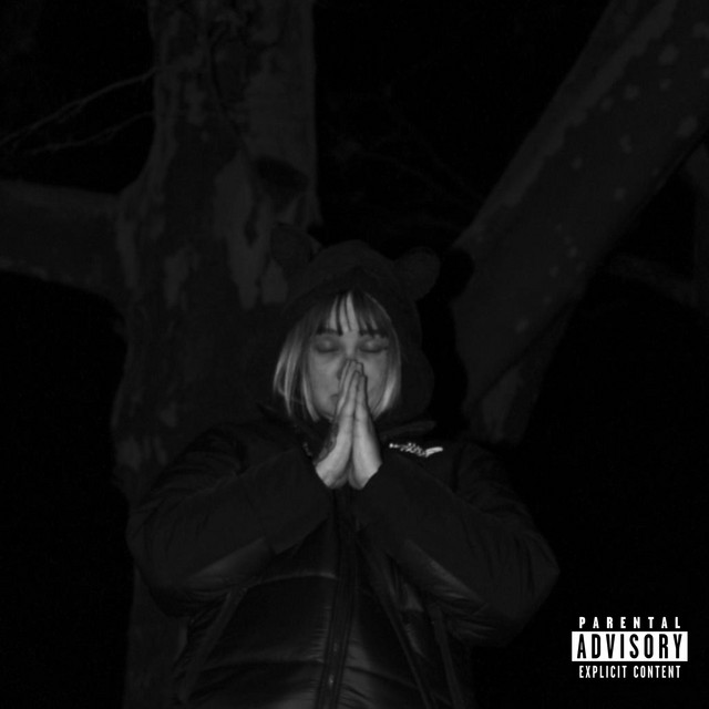 2 mental 2 health cover art