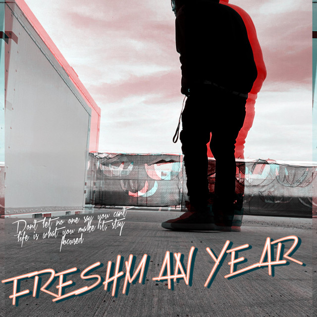 Freshman Year cover art