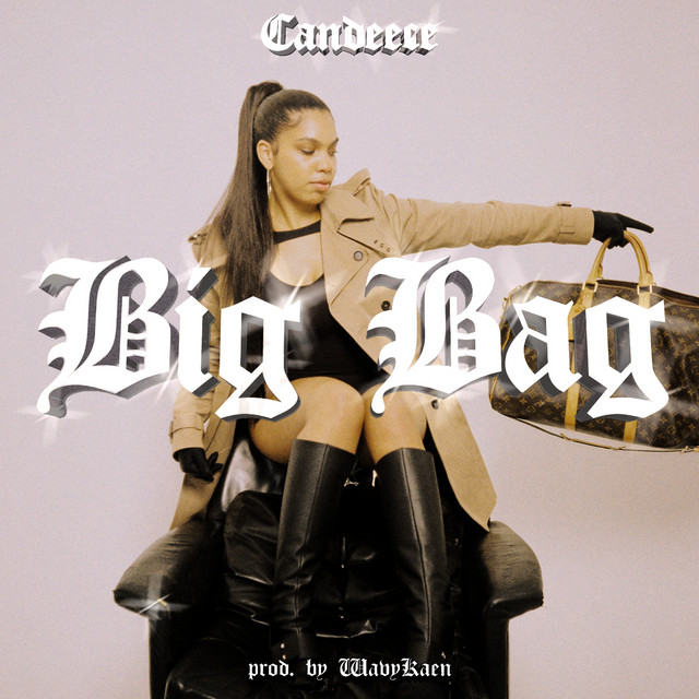 Big Bag cover
