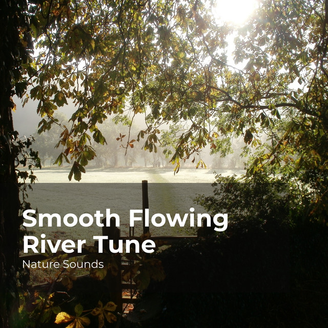 Smooth Flowing River Tune - Album by Sleep Sounds of Nature | Spotify