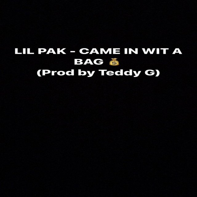 Came in Wit a Bag - Single by Lil Pak | Spotify