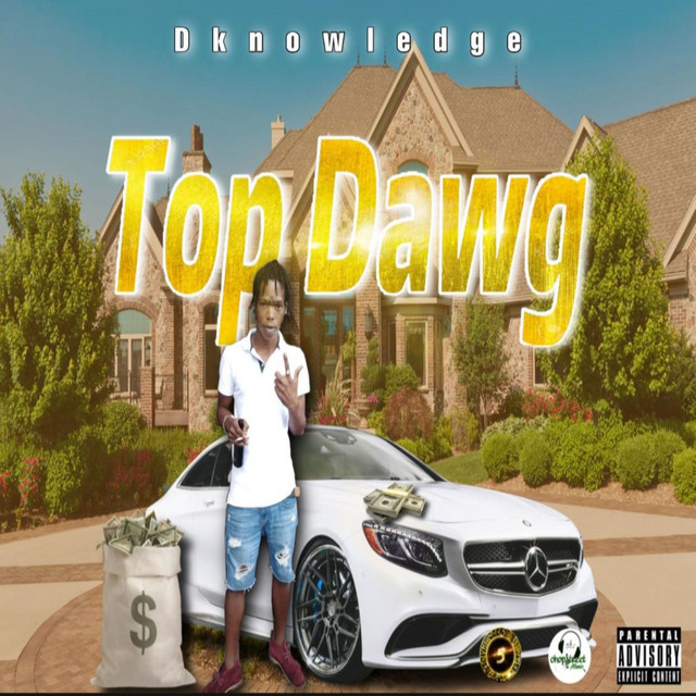 D knowledge | Spotify