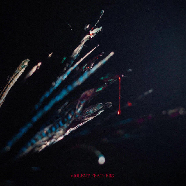 Violent Feathers album image