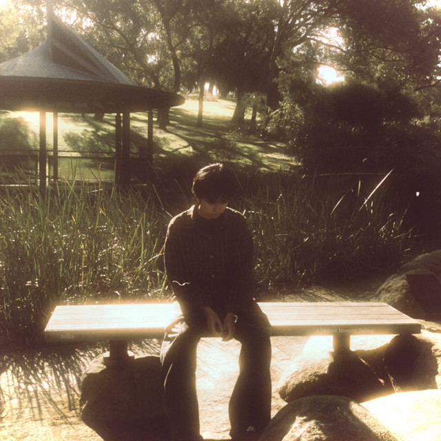 A Distant Memory, Fading cover art