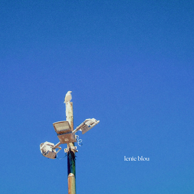 Lenie Blou cover art