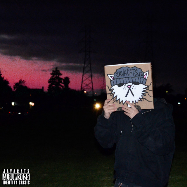 Identity Crisis cover art