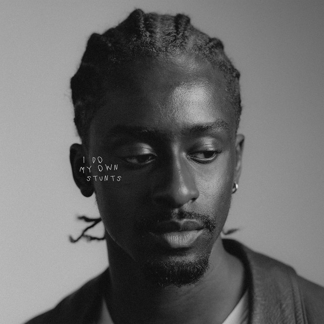 I Do My Own Stunts cover art