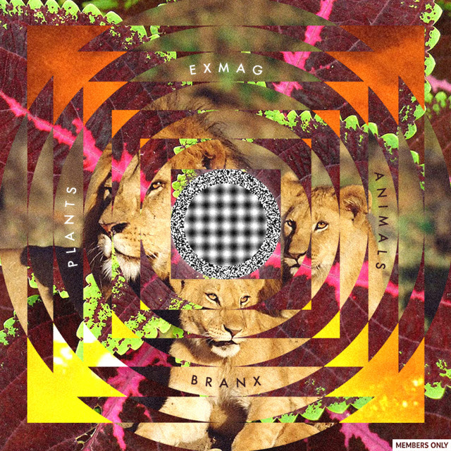 Plants and Animals cover art