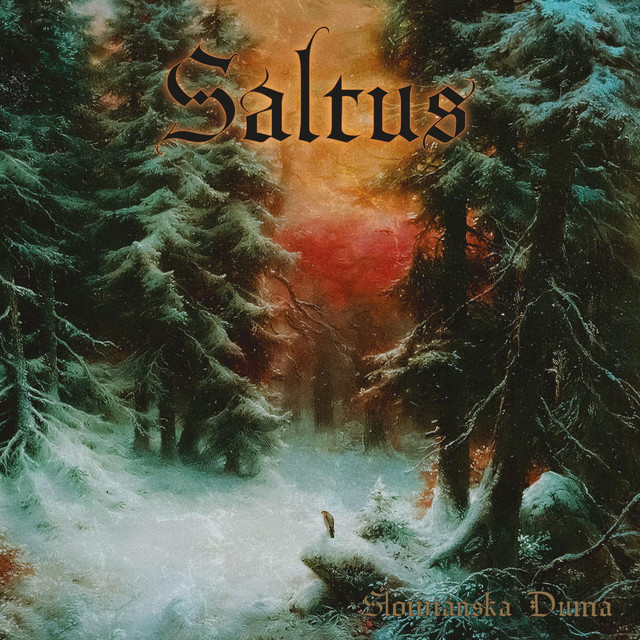 SŁOWIAŃSKA DUMA cover art