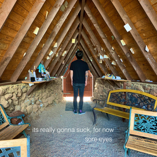 It's Really Gonna Suck, for Now album image