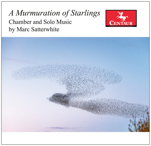 M. Satterwhite: A Murmuration of Starlings