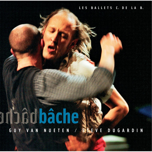Bâche cover art
