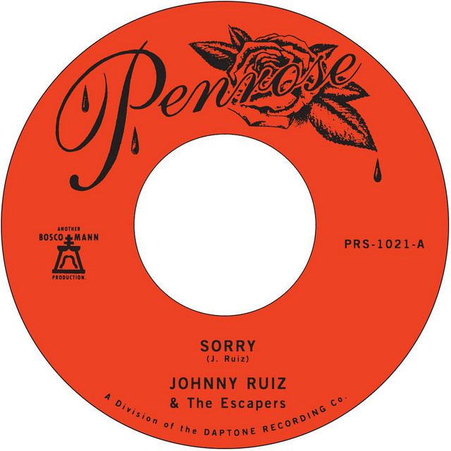 Sorry cover art