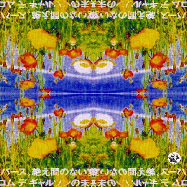 Tomorrow Maybe cover art