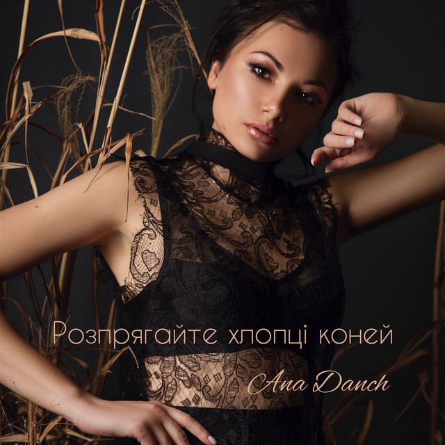 Обкладинка: Розпрягайте хлопці коней — Ana Danch