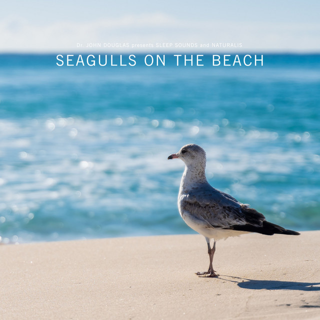 Seagulls on the Beach cover art