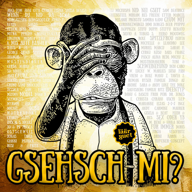 Gsehsch mi? cover