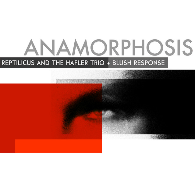 Anamorphosis cover