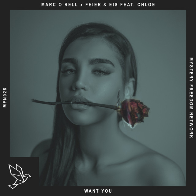 Want You - Radio Mix
