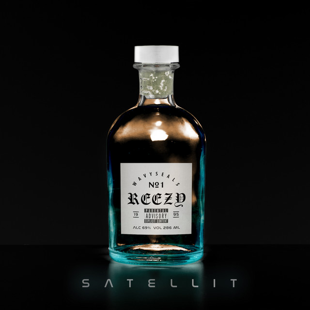 Satellit cover art