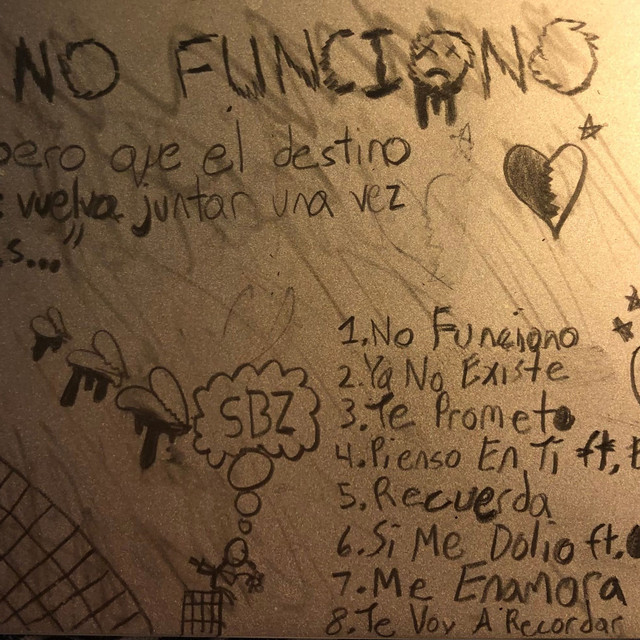 No Funciono cover art
