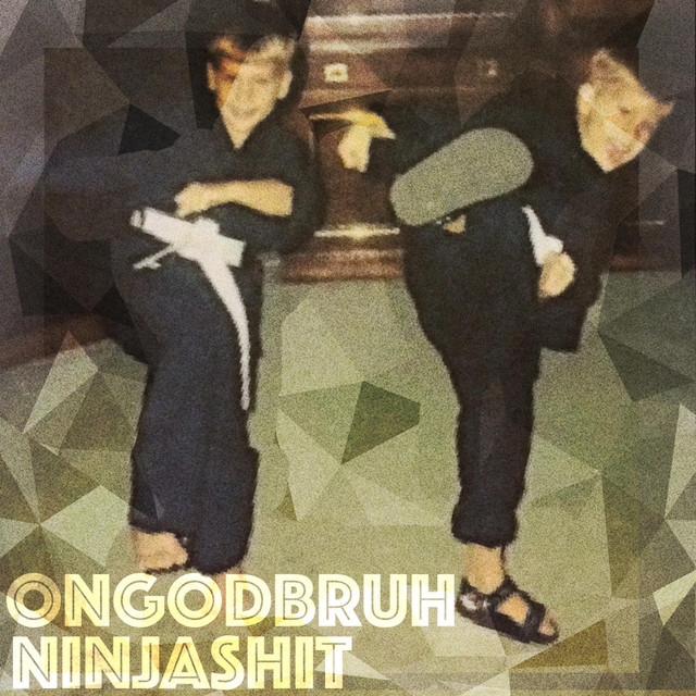 Ninja Shit cover