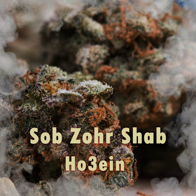 Sob Zohr Shab