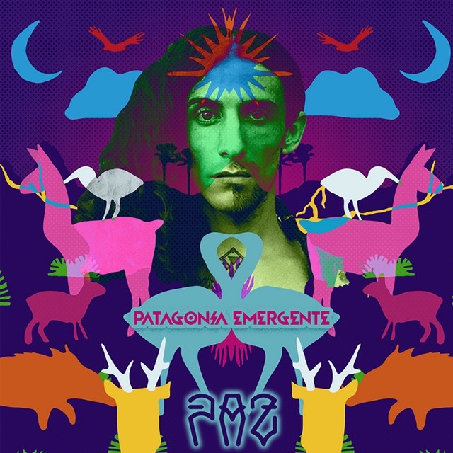 Patagonia Emergente cover art